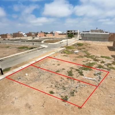 VENTA DE TERRENOS EN URB. LOS FICUS, PIMENTEL